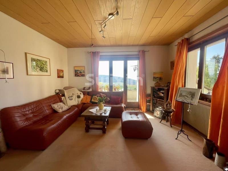 Charmante maison individuelle 6.5 pièces (2)
