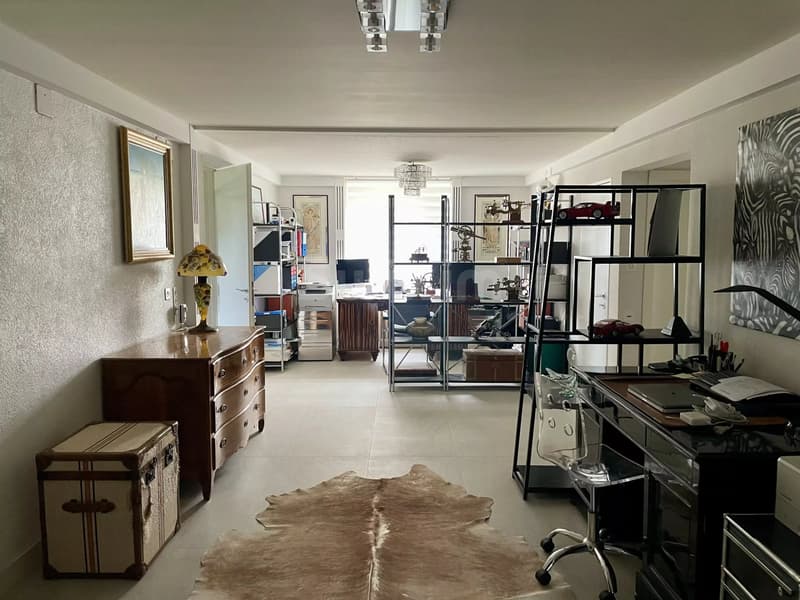 Appartement 5.5 pièces au bord du lac (2)