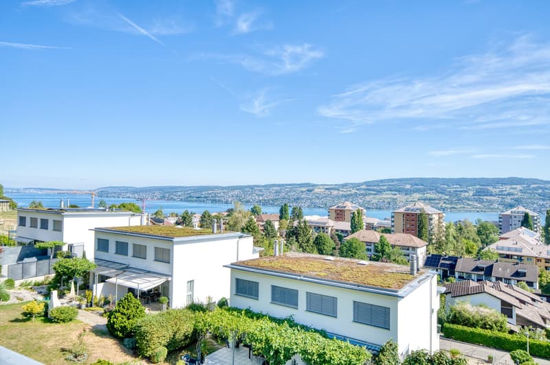 Charmantes 5.5-Zimmer-Doppeleinfamilienhaus an ruhiger Lage in Horgen (1)