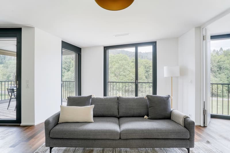 Moderne 2.5-Zimmer-Wohnung mit Balkon und herrlicher Aussicht auf die Sihl (2)