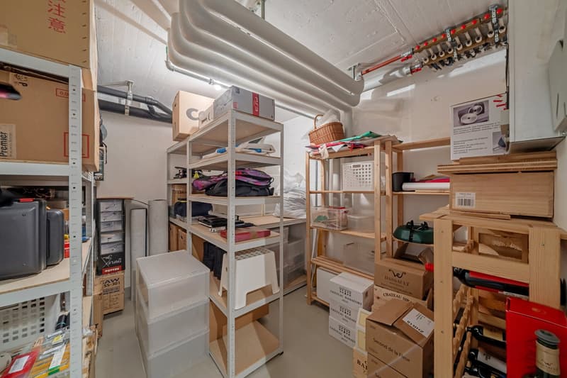 Charmantes 5.5-Zimmer-Doppeleinfamilienhaus an ruhiger Lage in Horgen (14)