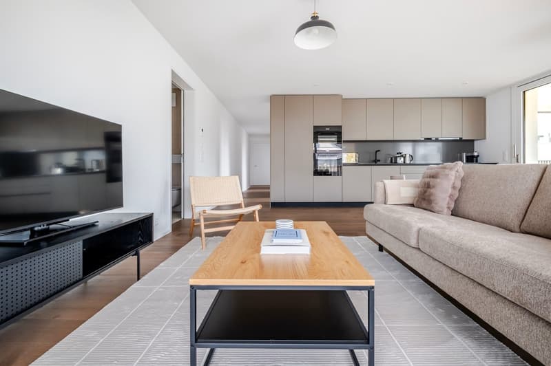 Neubau: Helle und Moderne 4.5-Zimmer-Wohnung im 2. OG (1)