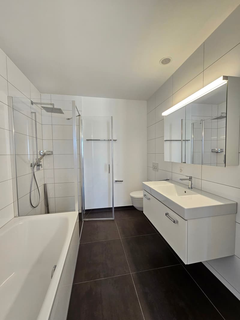 Luxuriöse 3,5 Zi-Wohnung im Herzen von Siebnen SZ (10)