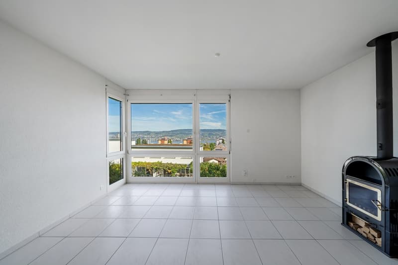Charmantes 5.5-Zimmer-Doppeleinfamilienhaus an ruhiger Lage in Horgen (10)