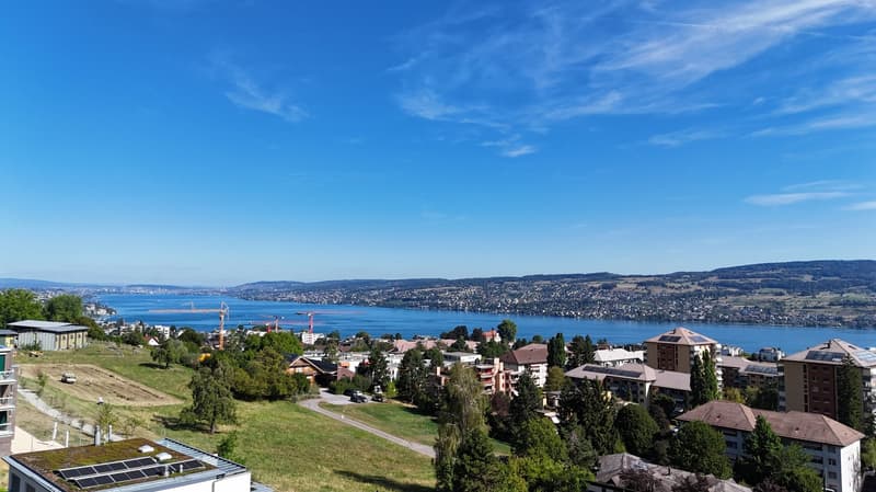 Charmantes 5.5-Zimmer-Doppeleinfamilienhaus an ruhiger Lage in Horgen (1)