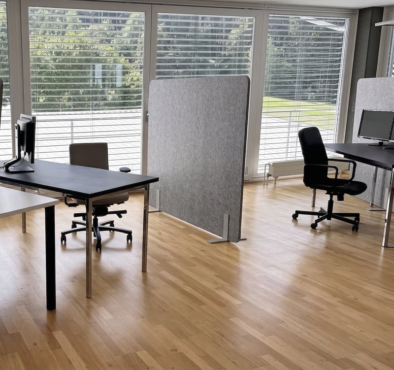 Möblierter Arbeitsplatz in stilvoller Bürogemeinschaft – Schindellegi (Höfe SZ) (5)