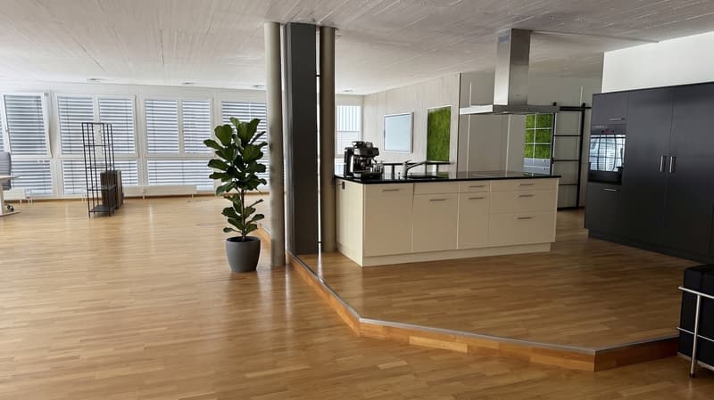 Möblierter Arbeitsplatz in stilvoller Bürogemeinschaft – Schindellegi (Höfe SZ) (6)