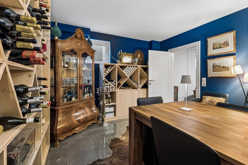 Exklusive Neubau-Villa mit Designerküche – 35 Min. ab Zürich (16)