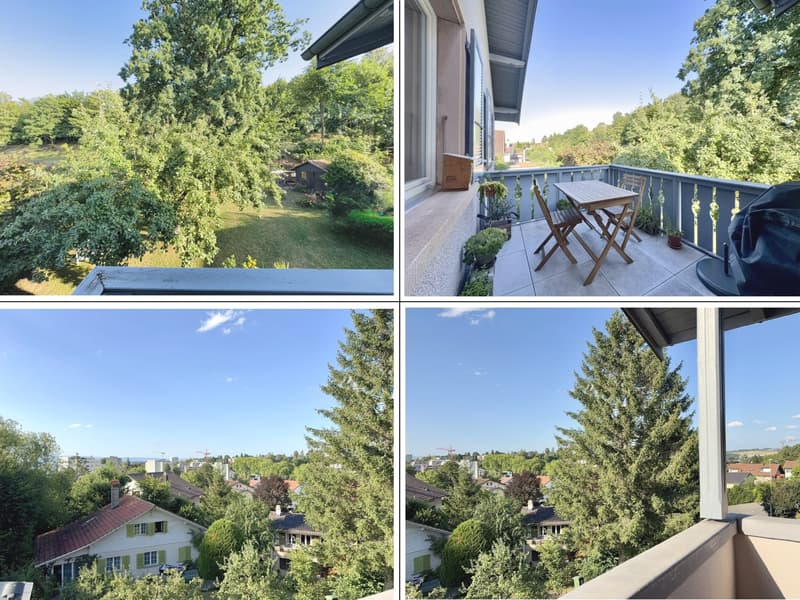 Parc Guintzet: Maison 2 appartements / Haus mit Garten in Fribourg (5)