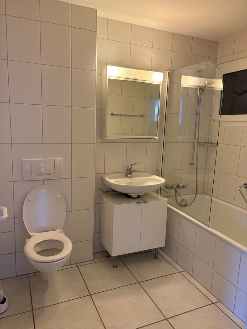 Gepflegtes 4-Zimmer-Einfamilienhaus in Hölstein (7)