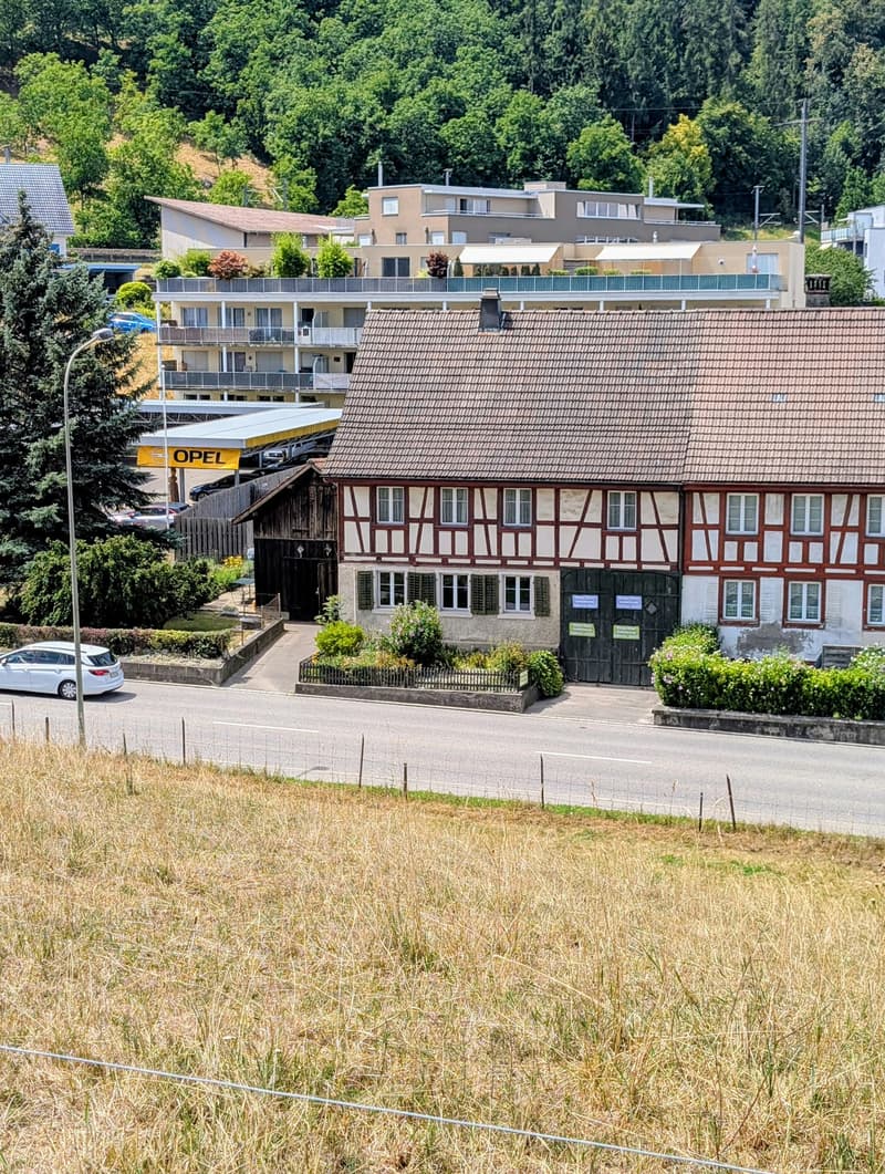 Zweifamilienhaus in Eglisau (1)