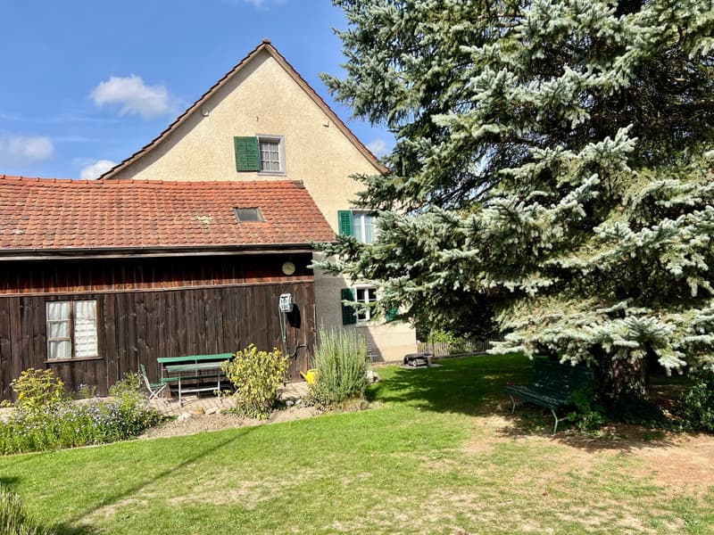 Zweifamilienhaus in Eglisau (3)