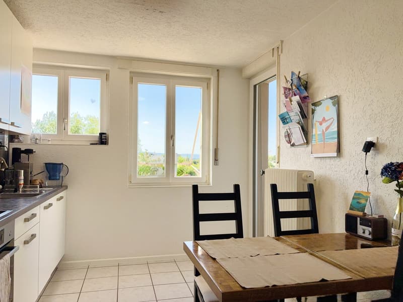 Parc Guintzet: Maison 2 appartements / Haus mit Garten in Fribourg (12)