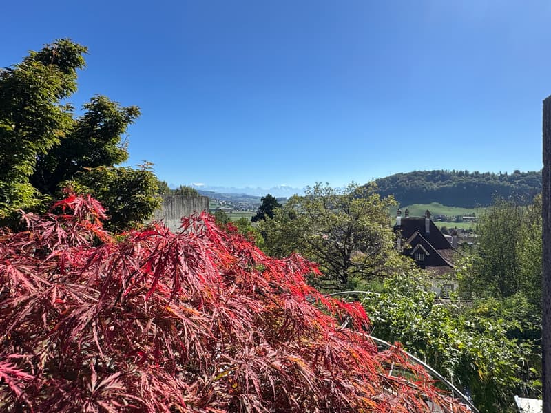 Aussicht mit Ahorn