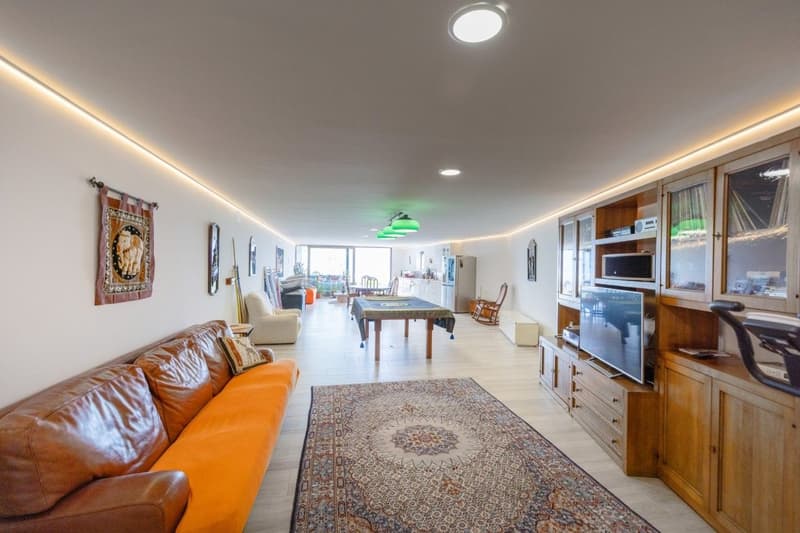 Residenza Trelementi (13)