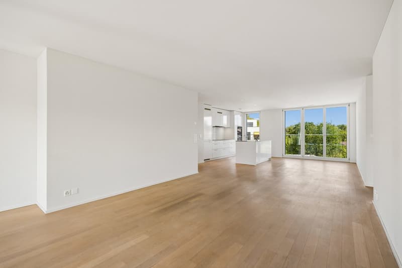 Helle und moderne 4.5-Zimmerwohnung in ruhigem Quartier (2)