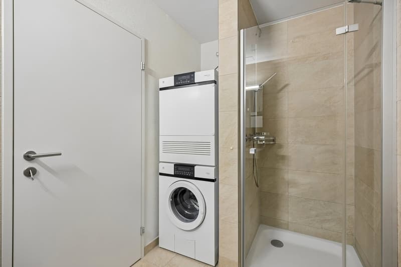 Helle und moderne 4.5-Zimmerwohnung in ruhigem Quartier (11)