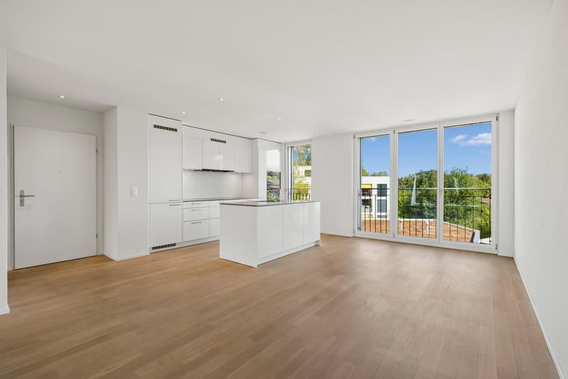 Helle und moderne 4.5-Zimmerwohnung in ruhigem Quartier (3)