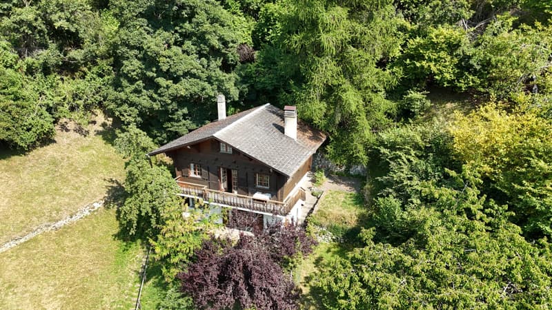 Chalet in Isérables in a haven of peace! (6)