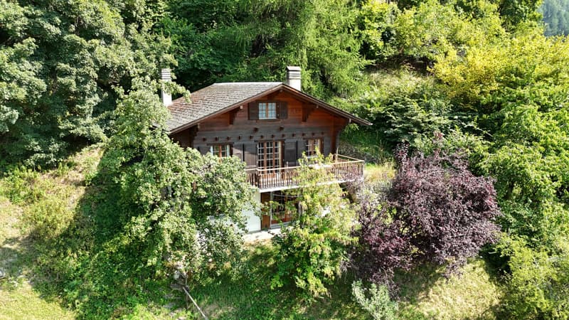 Chalet in Isérables in a haven of peace! (7)