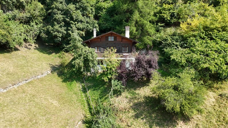 Chalet in Isérables in a haven of peace! (3)