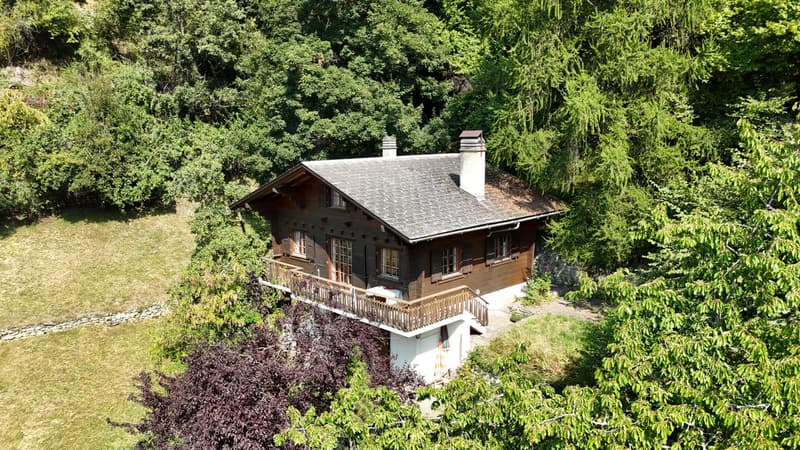 Chalet in Isérables in a haven of peace! (5)