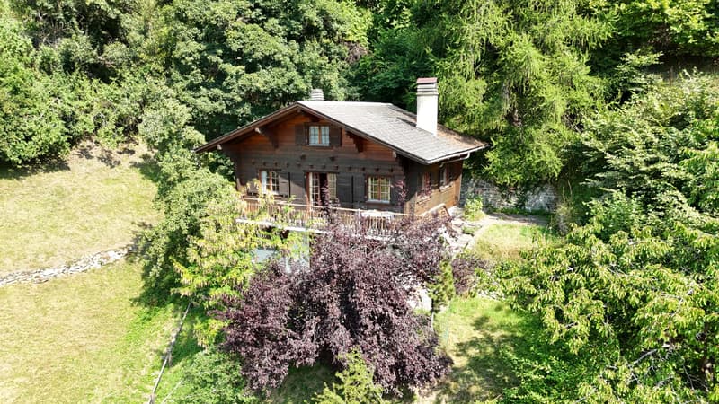 Chalet in Isérables in a haven of peace! (1)
