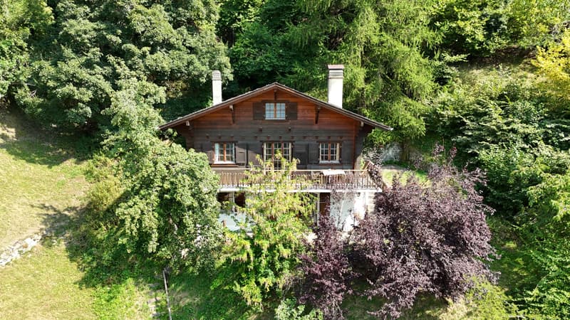 Chalet in Isérables in a haven of peace! (8)