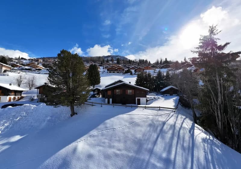 Character chalet with 2 annexes and a large land in Haute-Nendaz! (1)