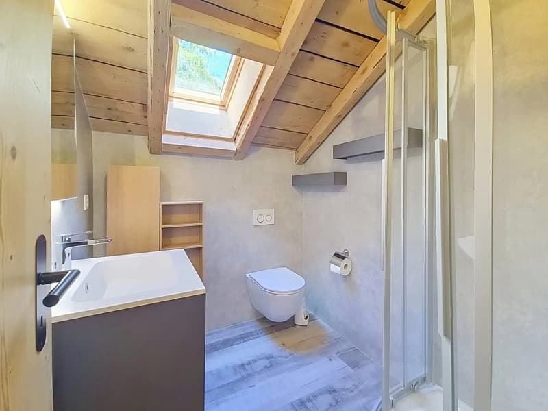 3 bedrooms apartment in Planchouet (Nendaz) in the heart of the forest! (7)