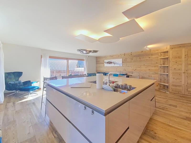 Two exceptional adjacent apartments in Nendaz (8)