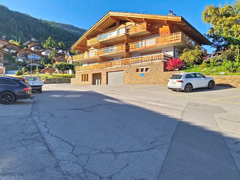 Luxury 3-room apartment, like new, in Nendaz! (12)