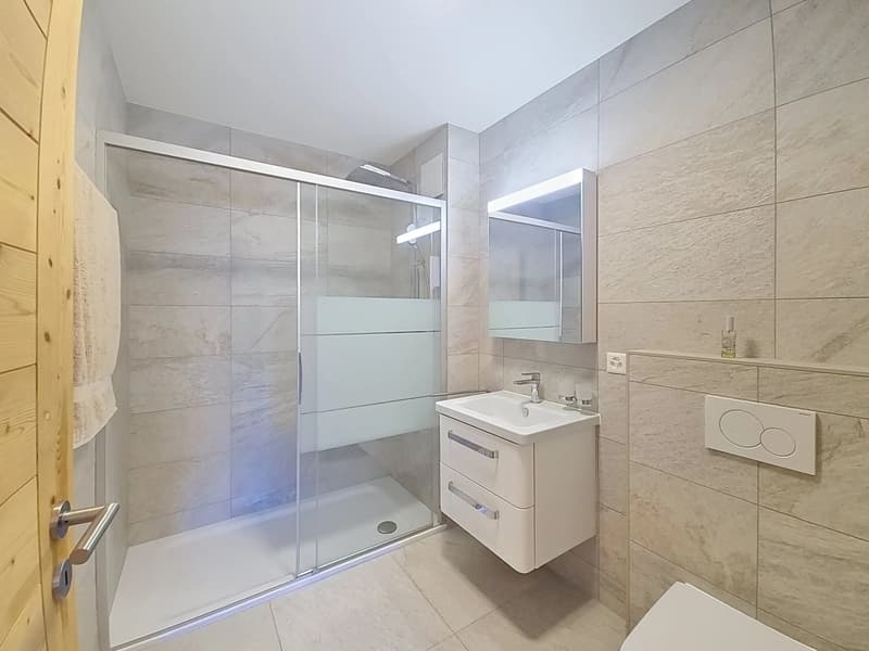 Luxury 3-room apartment, like new, in Nendaz! (9)