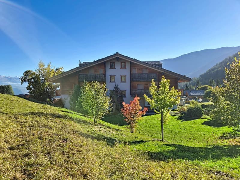 Luxury 3-room apartment, like new, in Nendaz! (2)