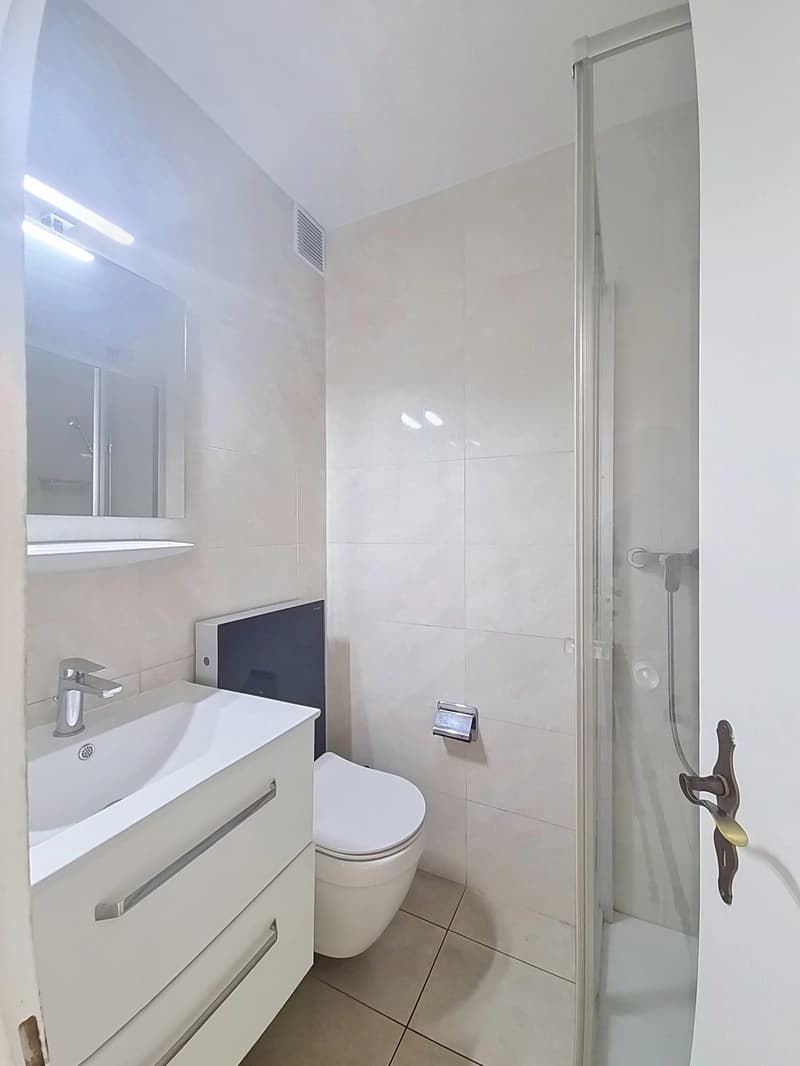 Magnificent 3.5-room apartment in Sierre, near Lake Géronde! (11)