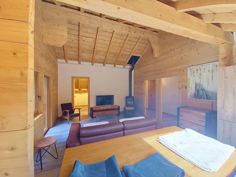 Building in co-ownership, 7 lots in Planchouet-Nendaz! (6)
