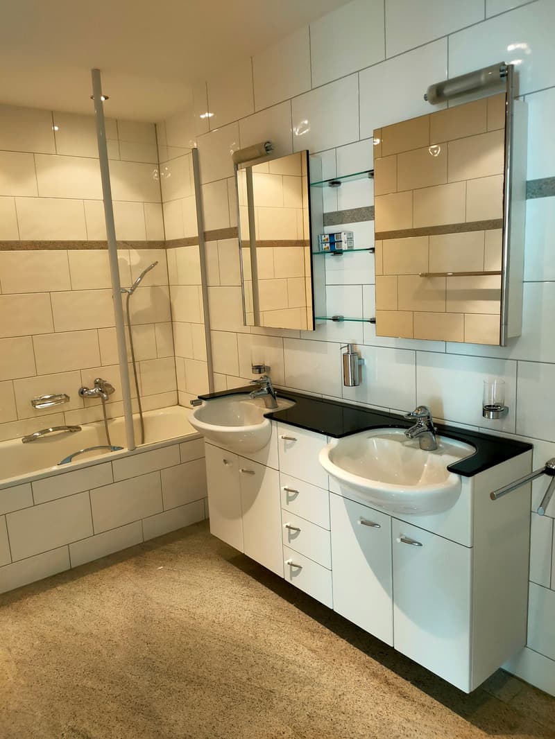 Spacious 4.5-Room Terrace Apartment in Zug – Available from September 2026 (11)