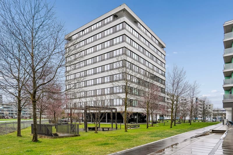Stunning Furnished 5.5-Room Penthouse Apartment in Zug – Available Immediately (10)