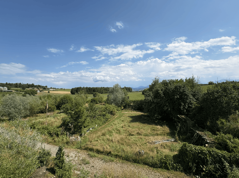 Spacious 5.5-Room Semi-Detached House with Beautiful Views in Uerzlikon (3)