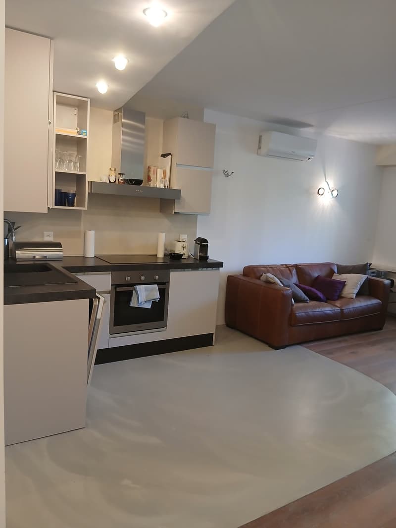 Splendido appartamento in residence con piscina e accesso al lago (3)