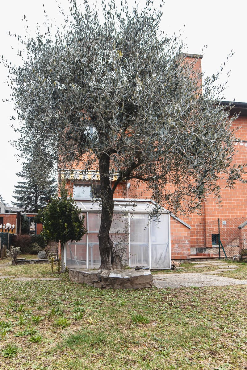 Incantevole Casa Bifamiliare di 5.5 Locali a Chiasso – Disponibile Subito! (24)