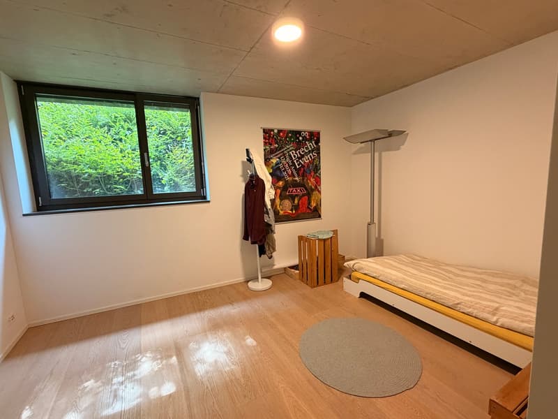 Doppel-Einfamilienhaus - Modernes Wohnen mit Pool und Minergie-Standard (9)