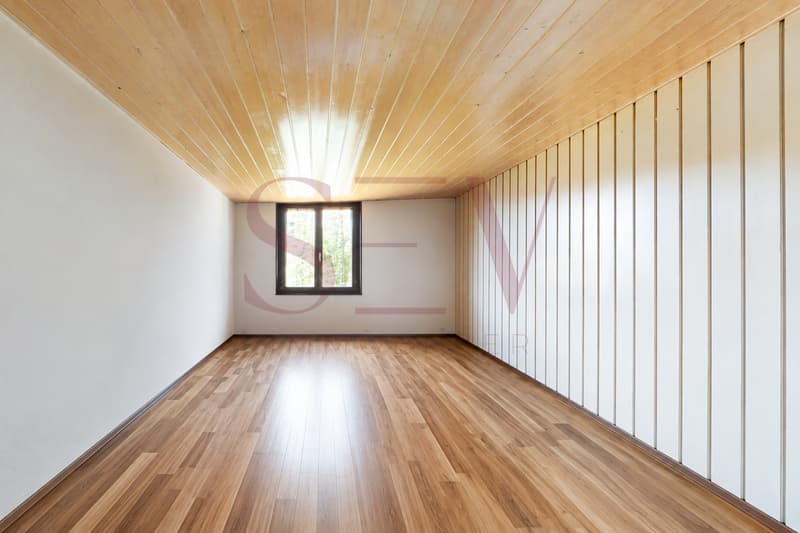 2 logements de 3.5 pièces - Chalet de caractère avec vue dégagée (4)