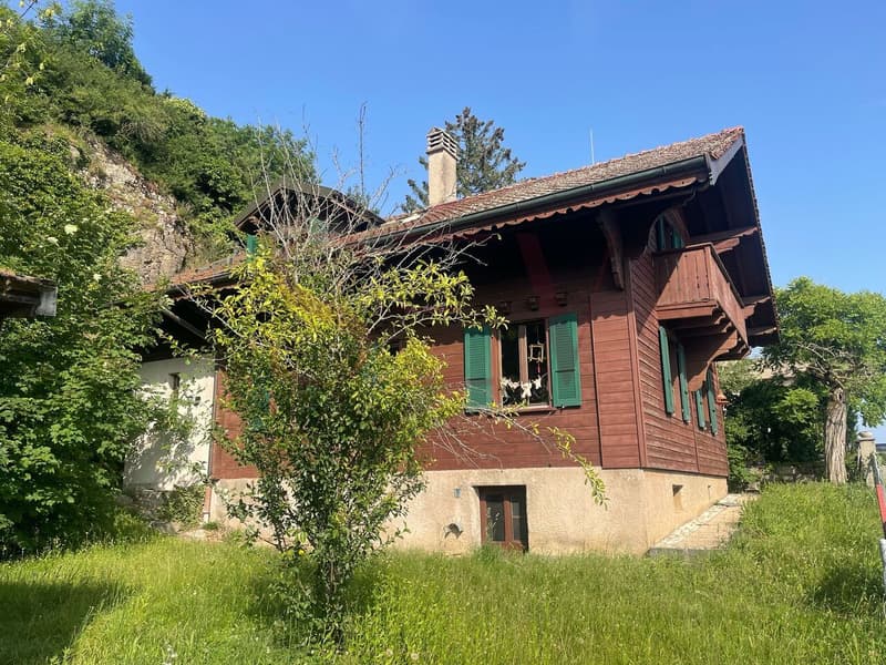 2 logements de 3.5 pièces - Chalet de caractère avec vue dégagée (1)