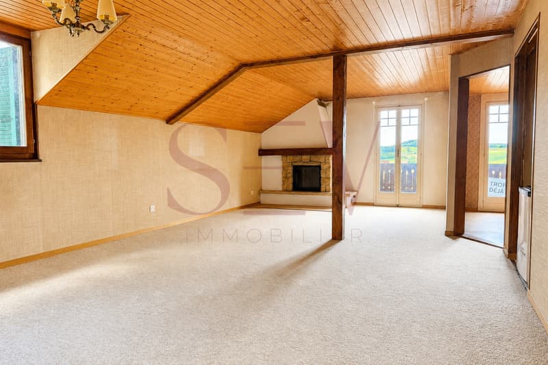 2 logements de 3.5 pièces - Chalet de caractère avec vue dégagée (6)