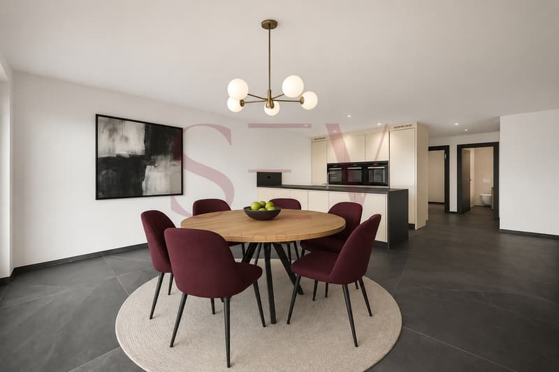 VILLA CONTEMPORAINE DE 5.5 PIÈCES AVEC UNE VUE PANORAMA SUR LUCENS (3)