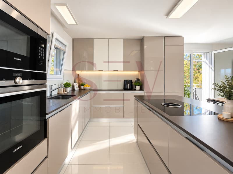 Cuisine moderne avec hotte centrale