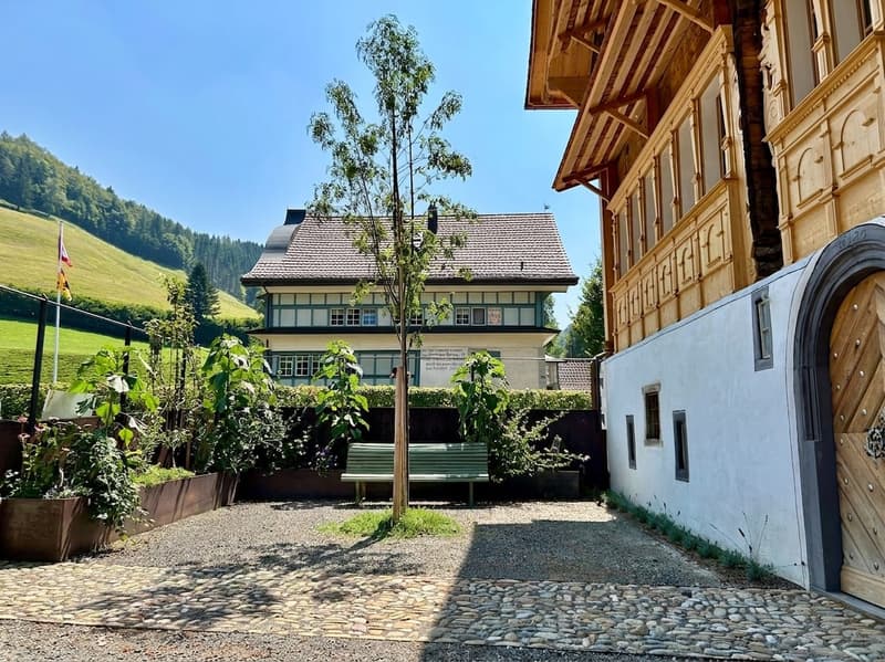 Renditeobjekt / Mehrfamilienhaus der besonderen Art - Historisches Haus mit 6 neuwertigen Wohnungen und 2 Studios/Ateliers (4)