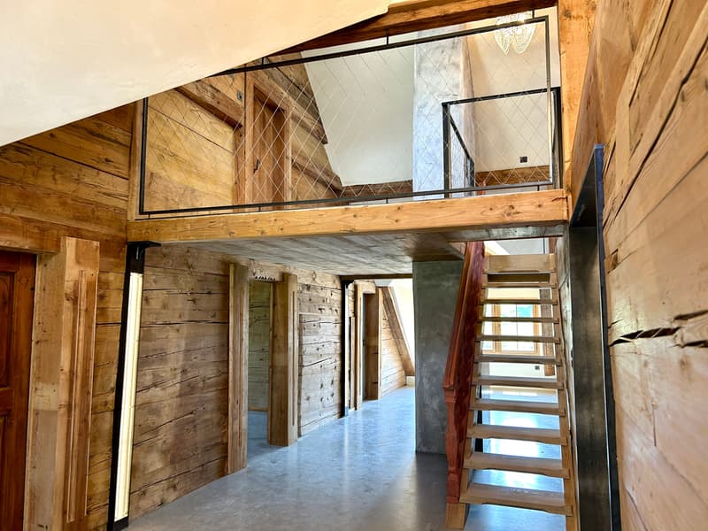 Renditeobjekt / Mehrfamilienhaus der besonderen Art - Historisches Haus mit 6 neuwertigen Wohnungen und 2 Studios/Ateliers (13)