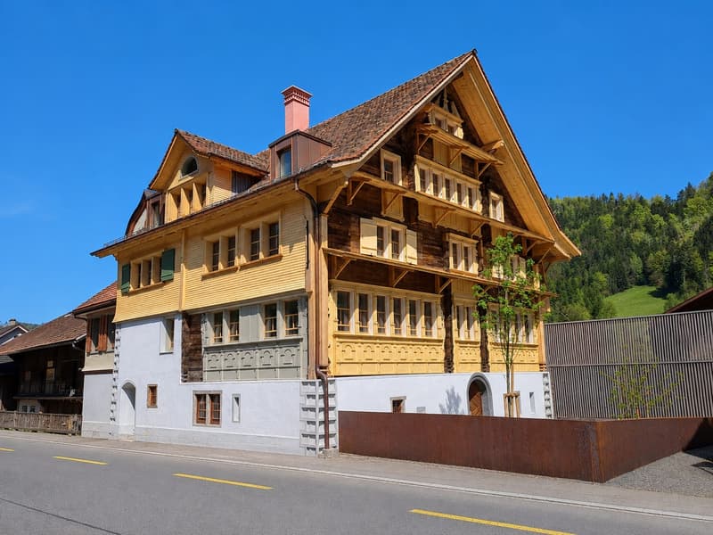 Renditeobjekt / Mehrfamilienhaus der besonderen Art - Historisches Haus mit 6 neuwertigen Wohnungen und 2 Studios/Ateliers (1)